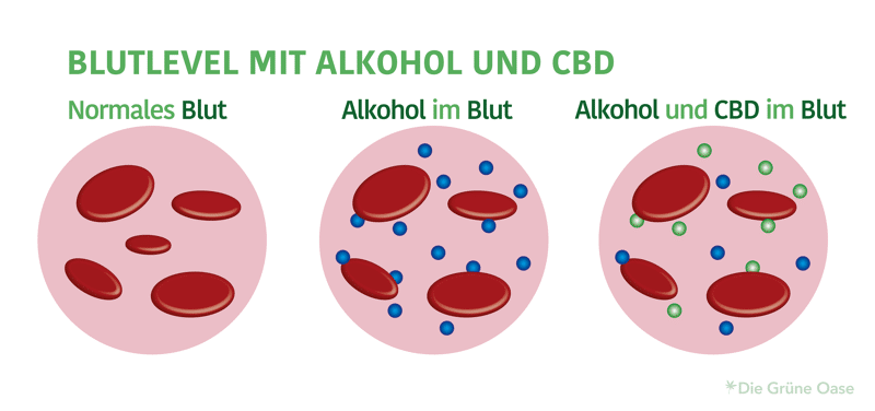 Blutkonzentration CBD und Alkohol